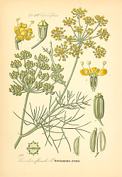 Постер Flora von Deutschland №2 1