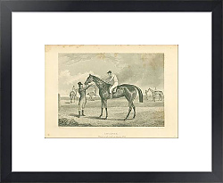 Постер Ghuznee, Winner of the Oaks, at Epsom, 1841 1